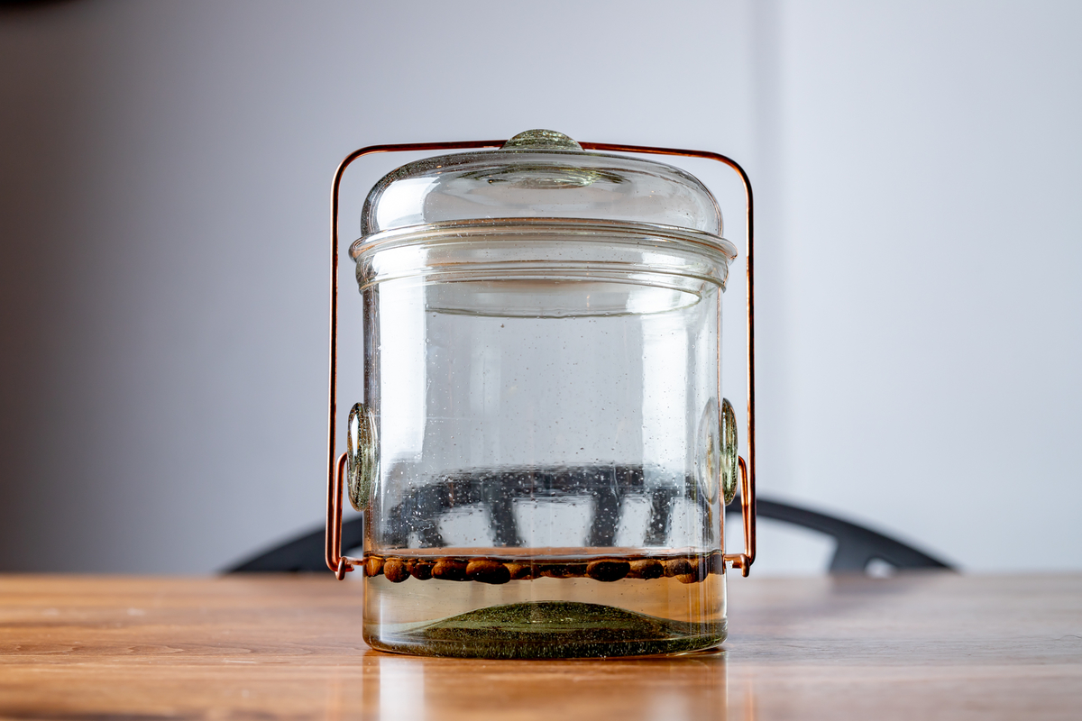 f:id:buchineko_okawari:20190810103816j:plain