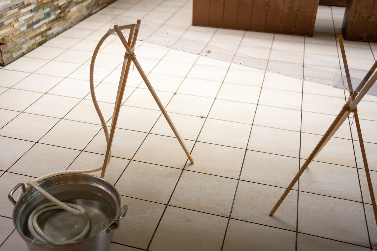 f:id:buchineko_okawari:20190909225053j:plain