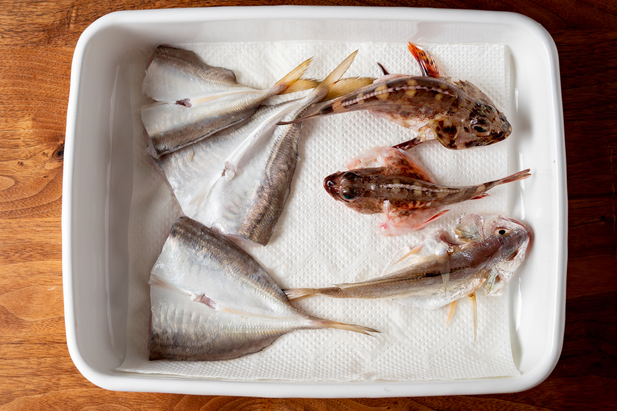 釣り鯵おき つくりおき 釣り鯵おき つくりおき