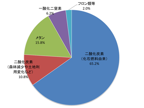 環境への影響の原因は何ですか?