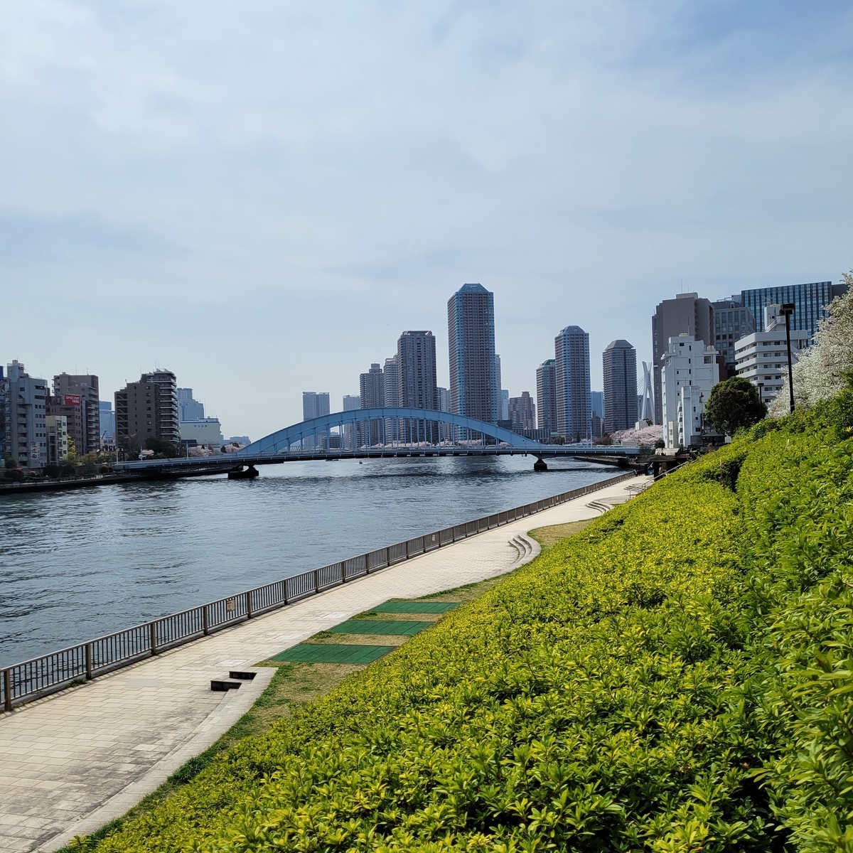 川沿いの風景