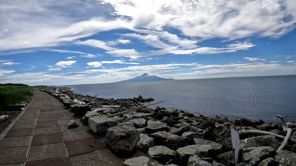 こうほねの家PA海岸