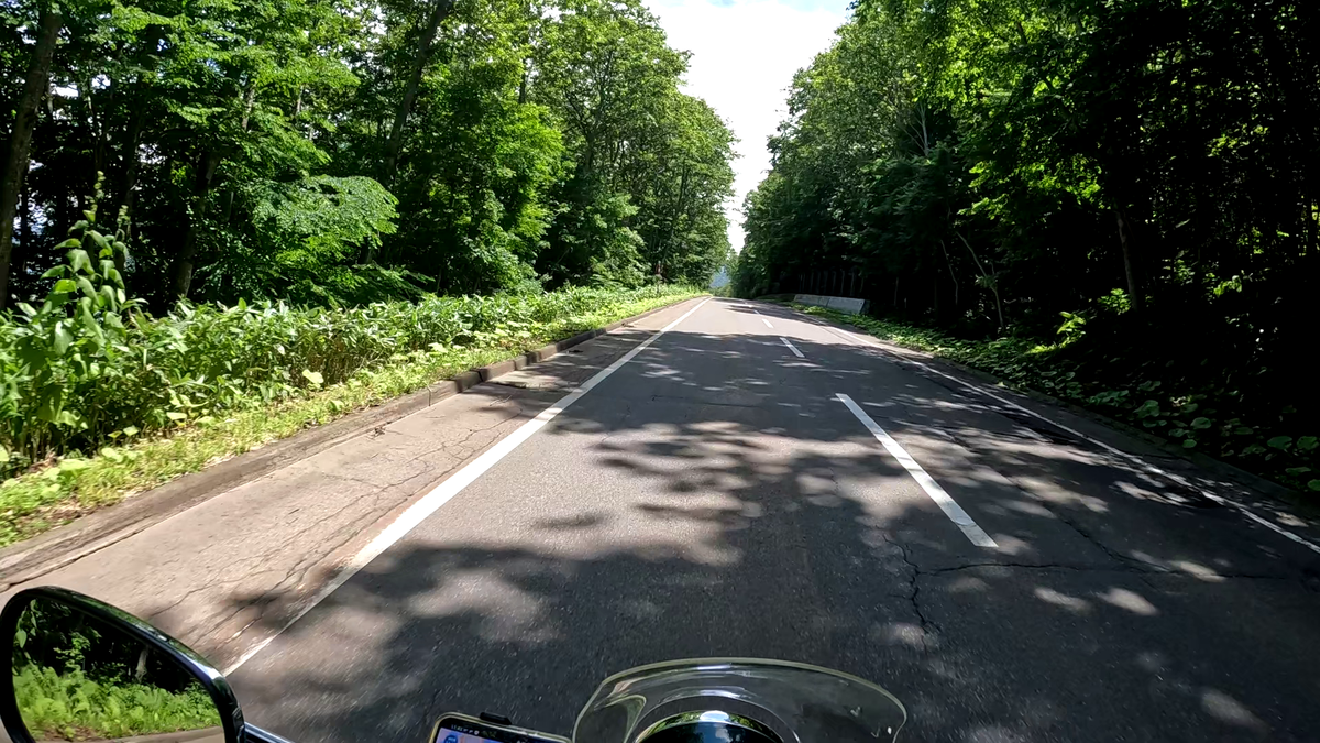 屈斜路湖の森
