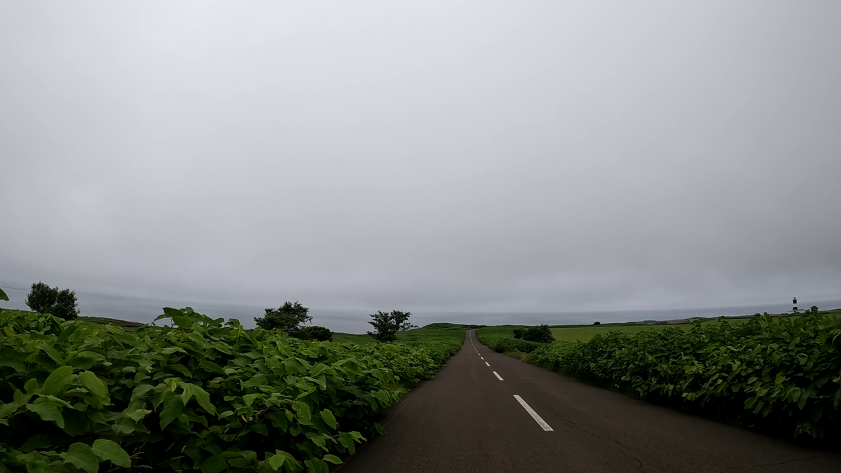 霧が立ち込めている