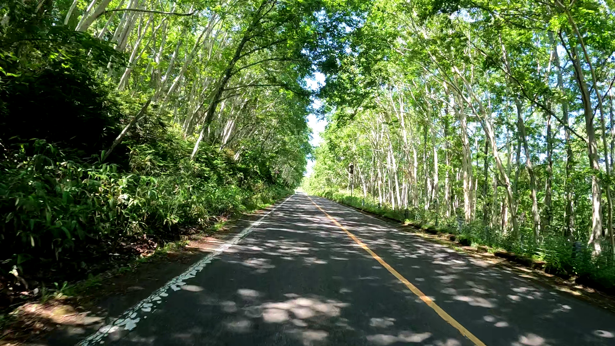 知床横断道路