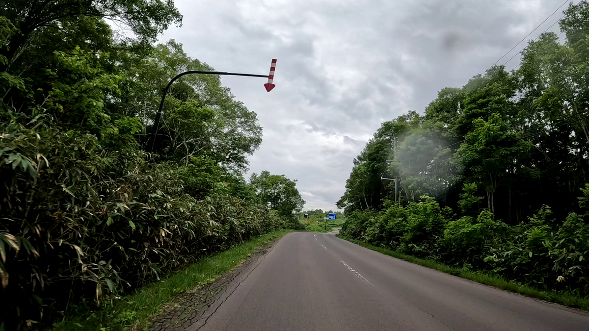 雨降ってきた