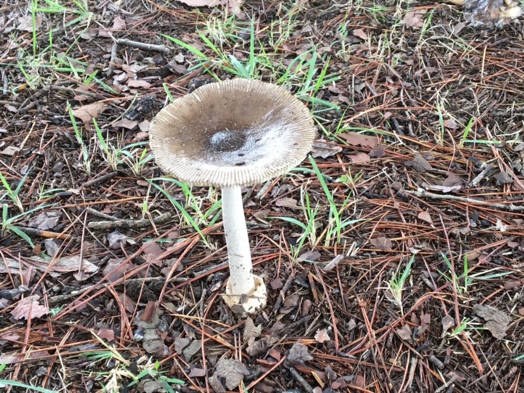 f:id:bucketlist:20160929115727j:plain