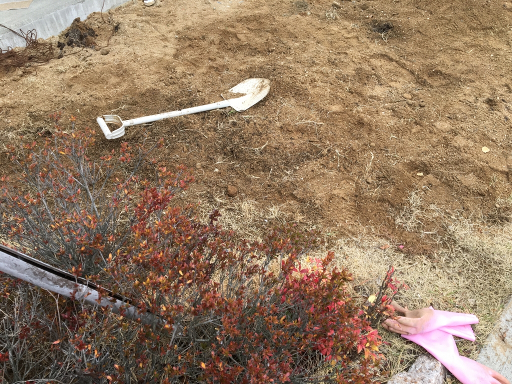 f:id:bucketlist:20170326092301j:plain