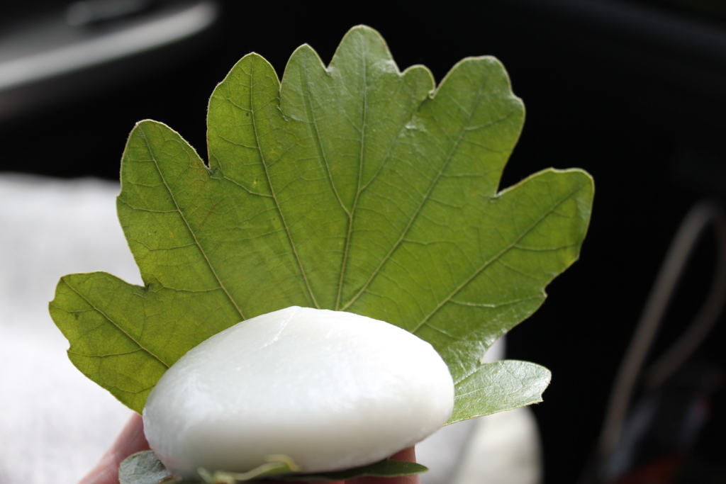 f:id:bucketlist:20170507113010j:plain