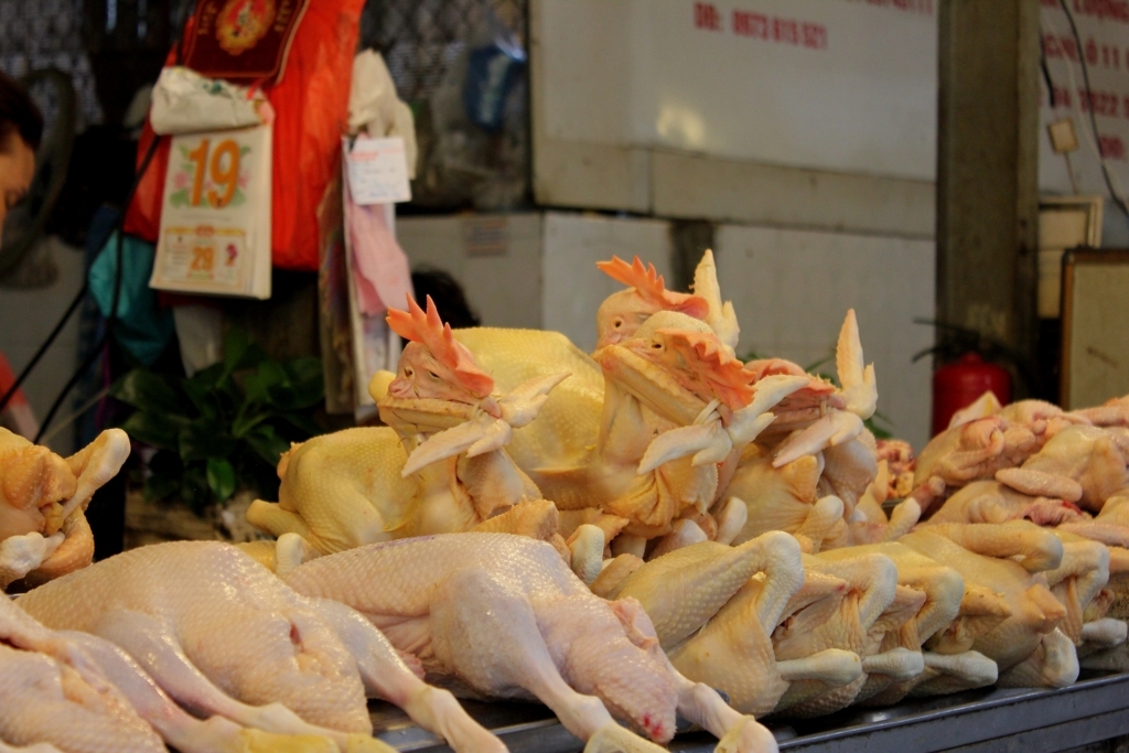 f:id:bucketlist:20170923162547j:plain f:id:bucketlist:20170923162547j:plain