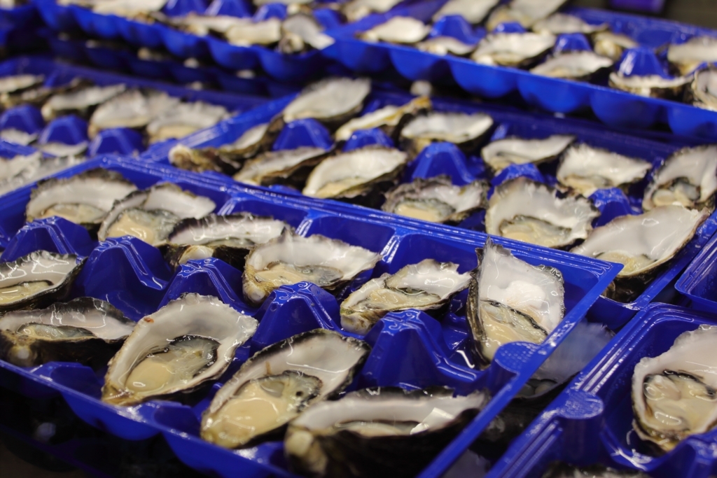 f:id:bucketlist:20171227140136j:plain