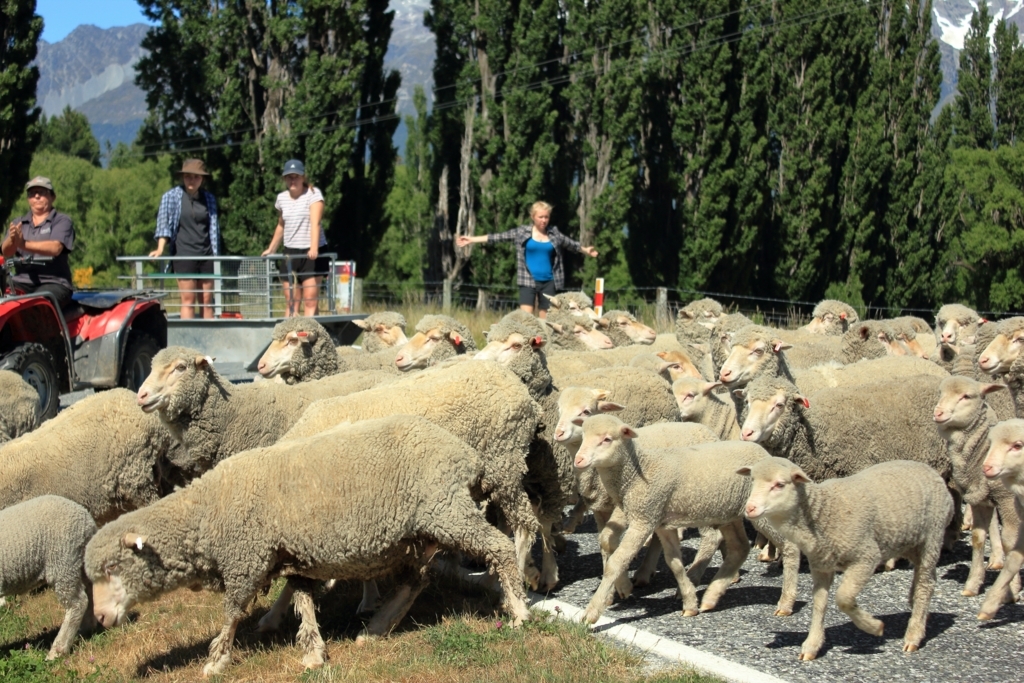 f:id:bucketlist:20180103100210j:plain