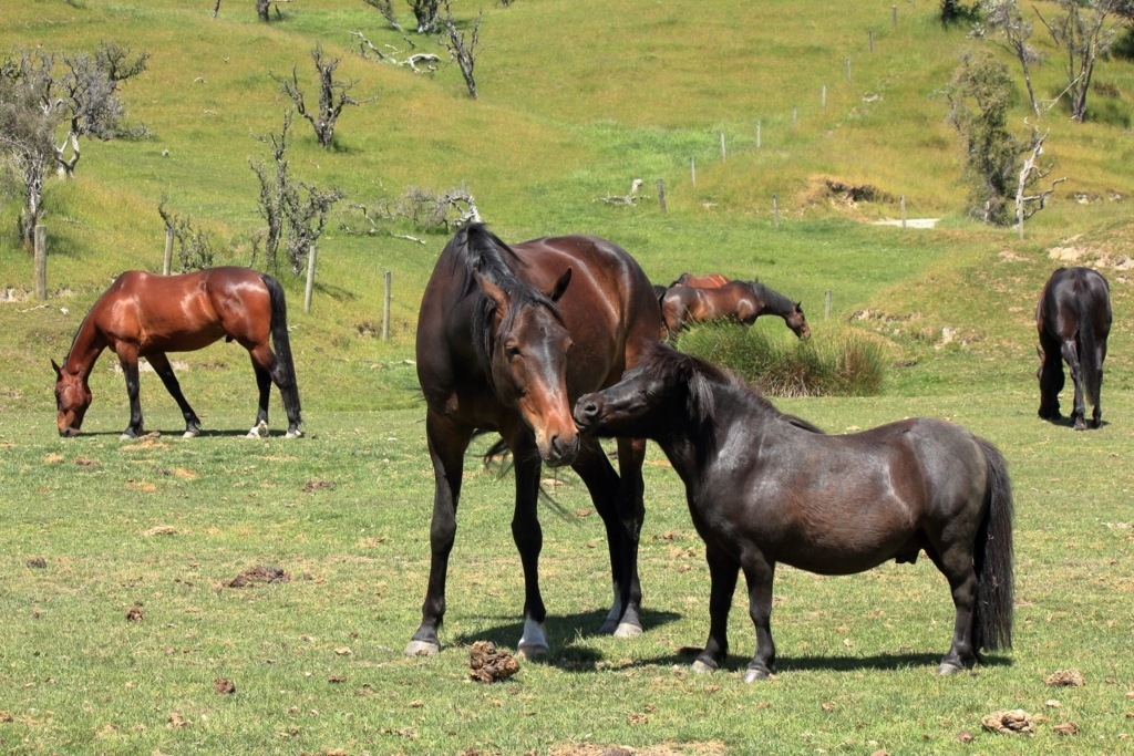 f:id:bucketlist:20180103101350j:plain