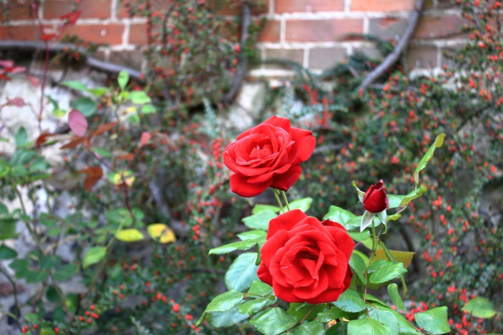 f:id:bucketlist:20181012115915j:plain f:id:bucketlist:20181012115915j:plain