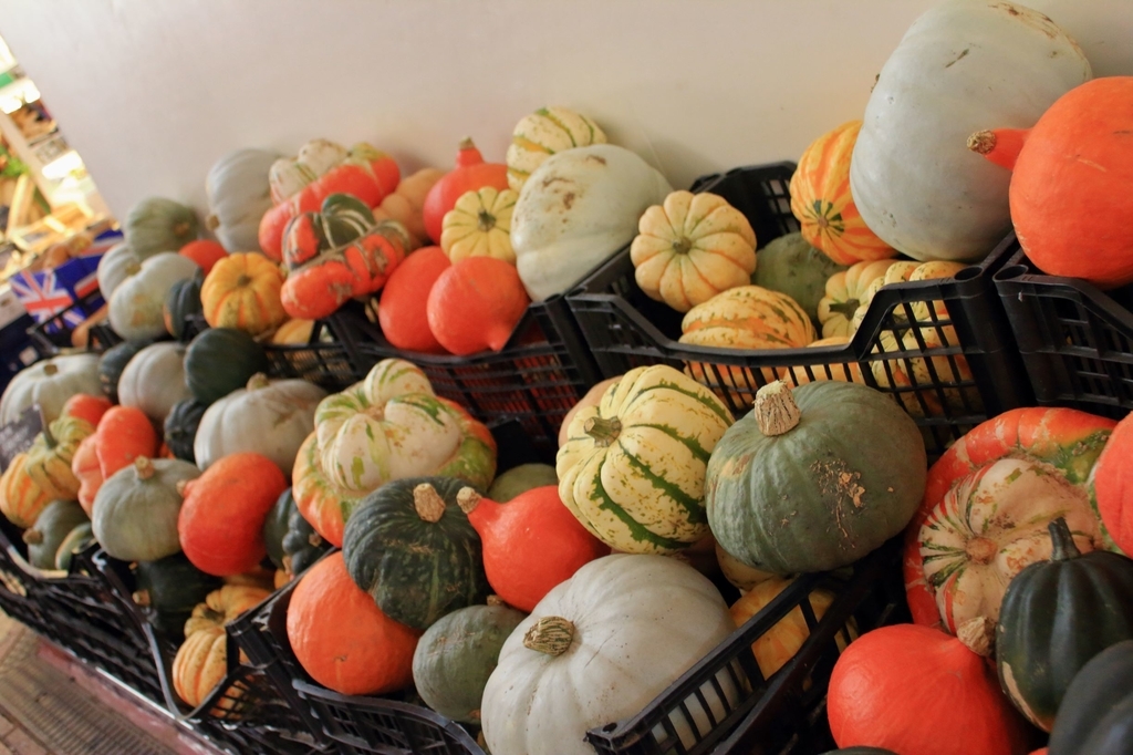 f:id:bucketlist:20181016120351j:plain