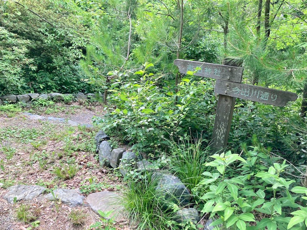 f:id:buckingham0120:20220620225047j:image