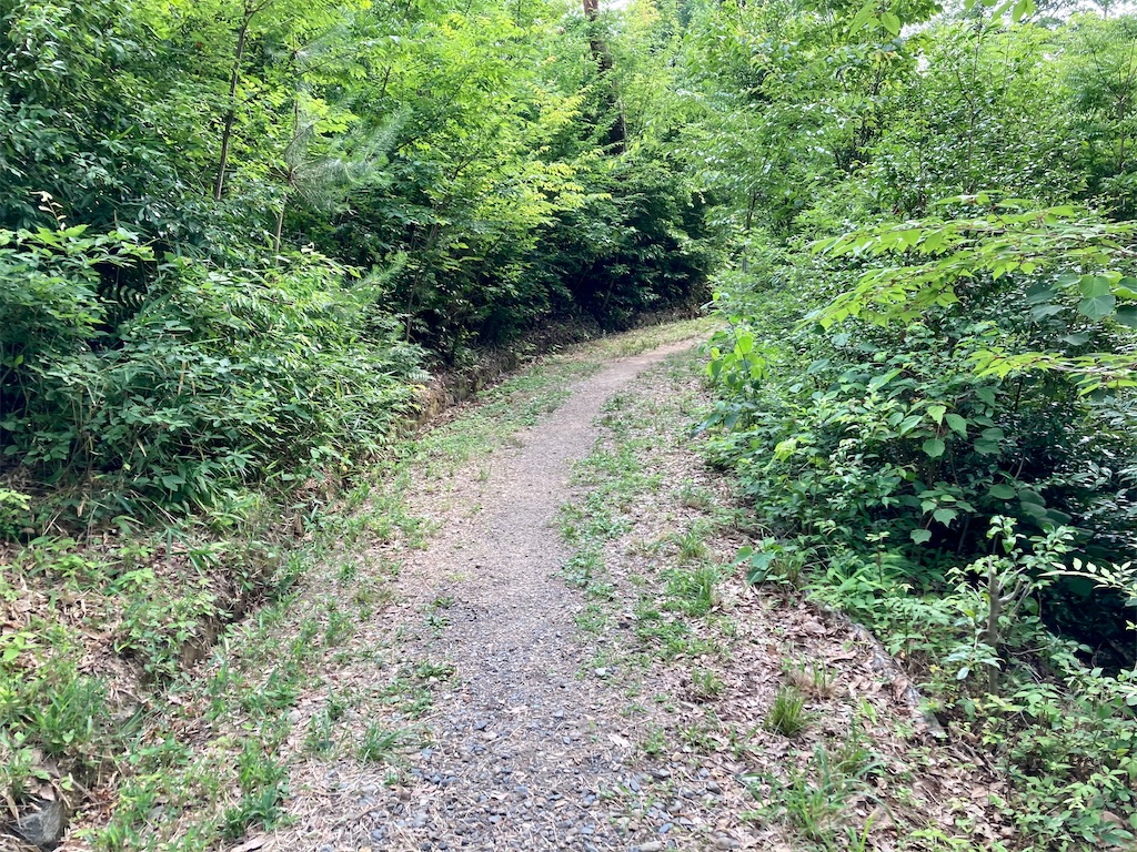 f:id:buckingham0120:20220620225217j:image