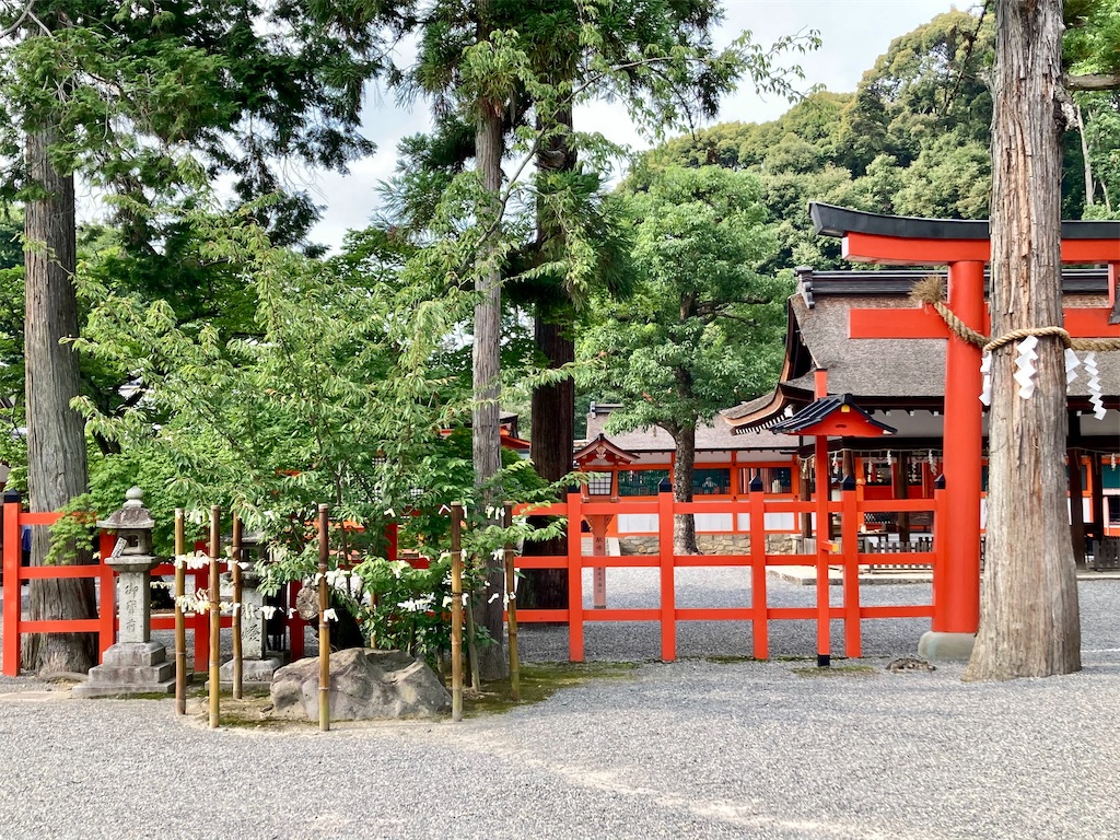 f:id:buckingham0120:20220620225608j:image