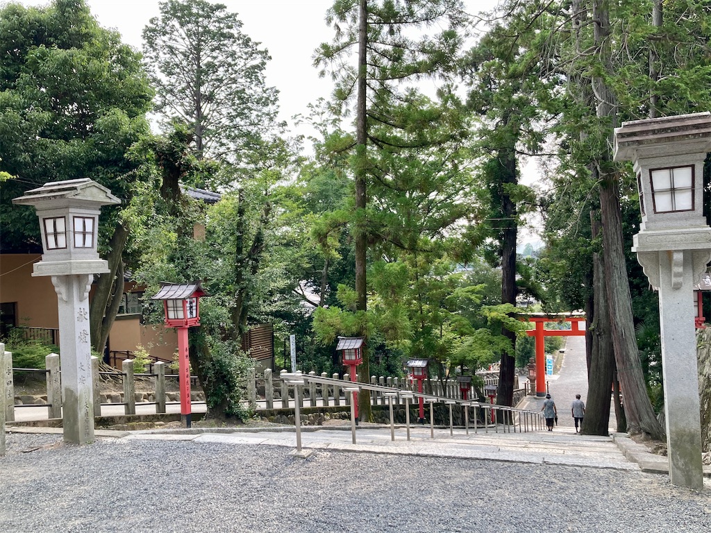 f:id:buckingham0120:20220620225646j:image