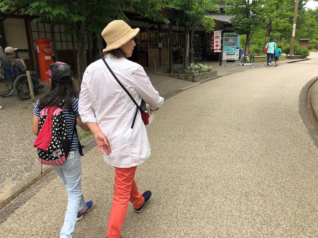 f:id:bucyoub51:20180531073254j:image