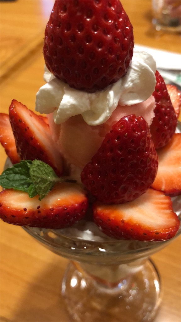 f:id:bucyoub51:20190406222531j:image