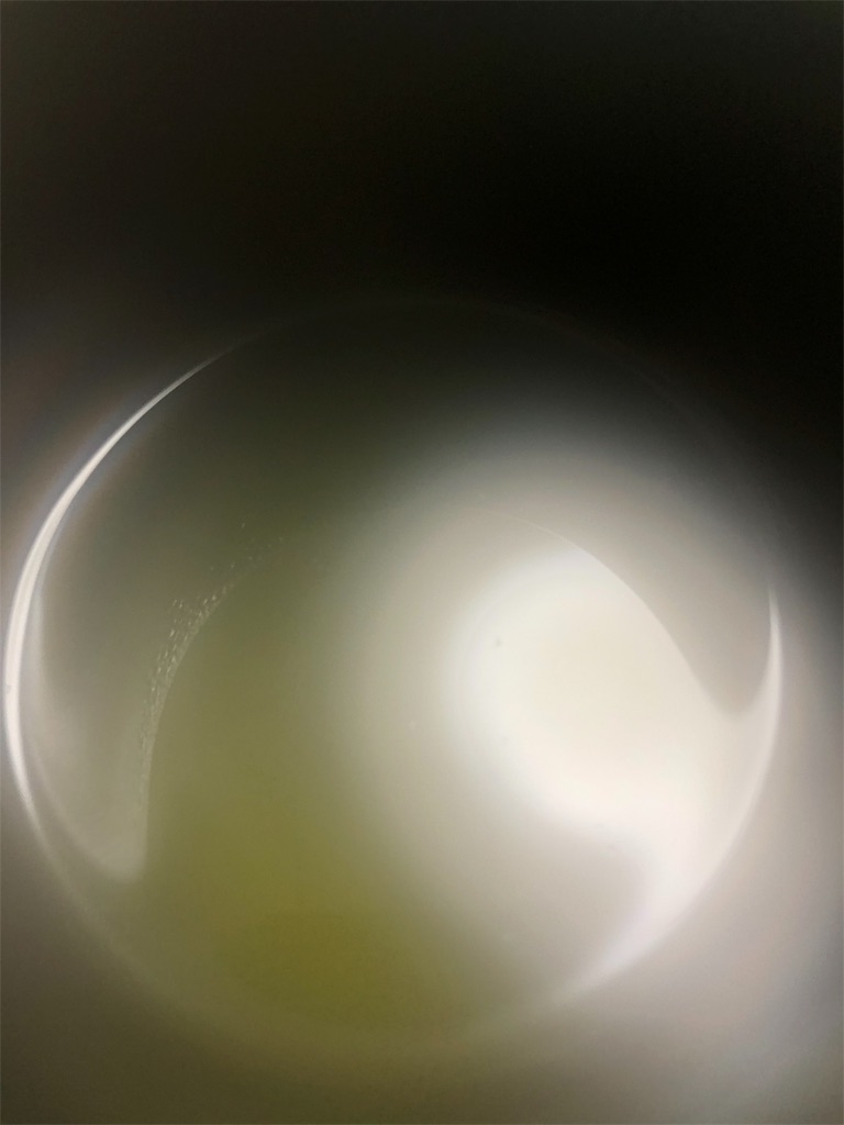 f:id:bucyoub51:20190501194558j:image f:id:bucyoub51:20190501194558j:image
