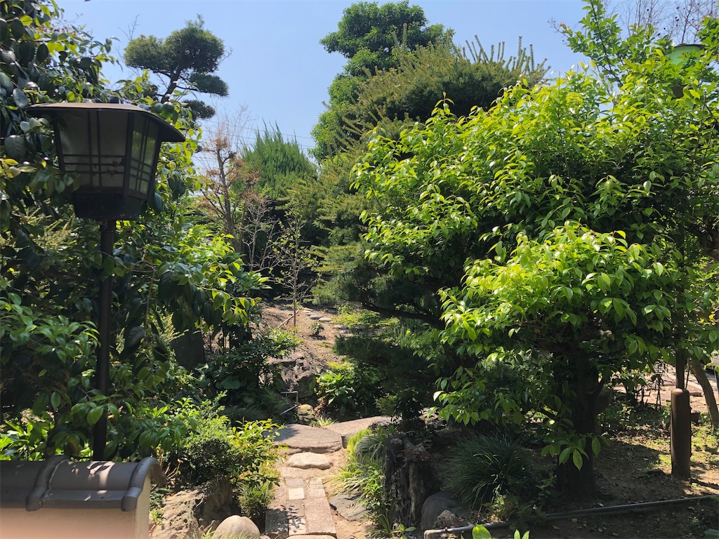 f:id:bucyoub51:20190511125523j:image