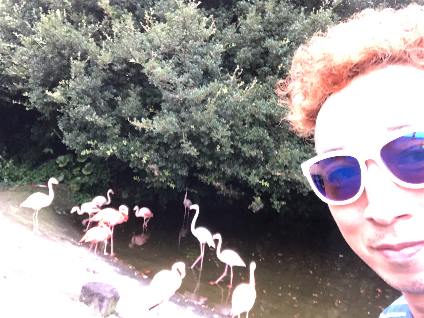 f:id:bucyoub51:20190815074729j:image