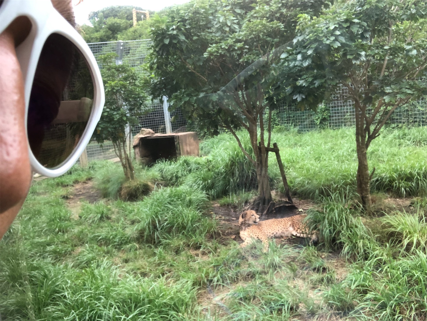 f:id:bucyoub51:20190815074747j:image