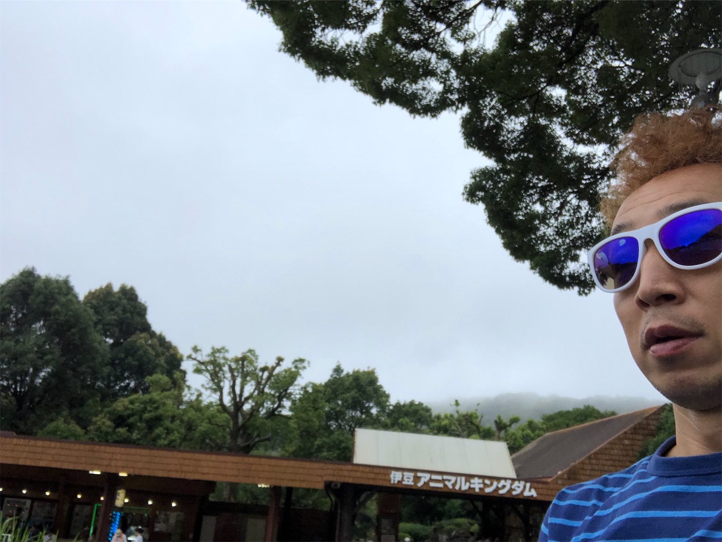 f:id:bucyoub51:20190815075036j:image