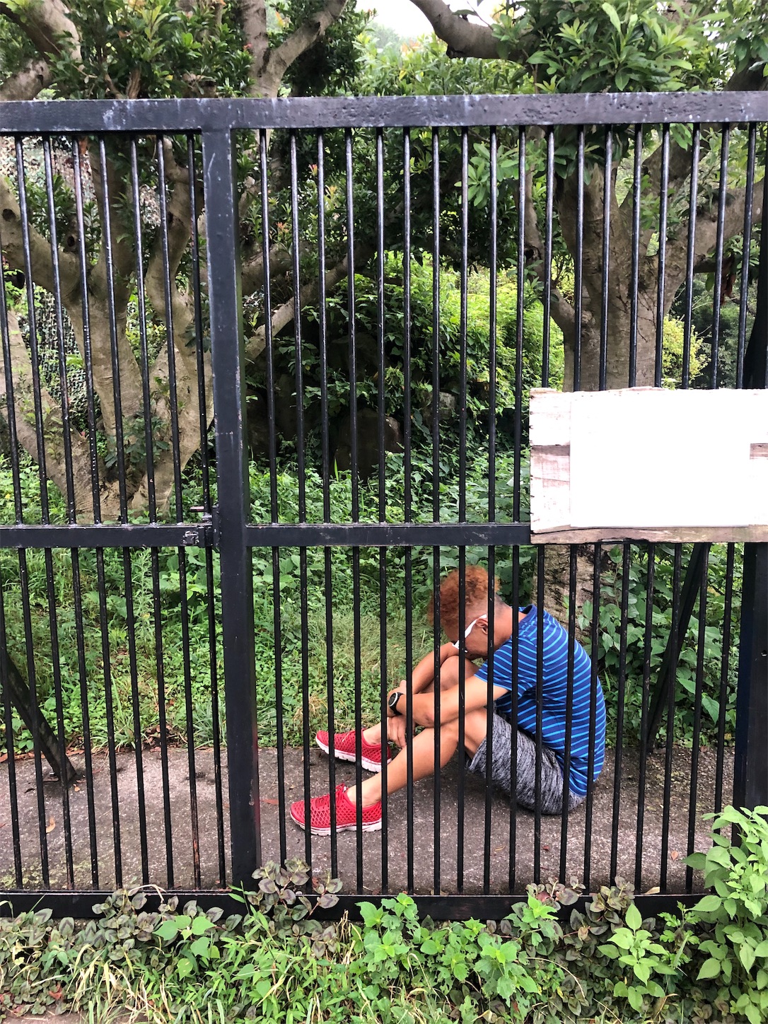 f:id:bucyoub51:20190815075041j:image