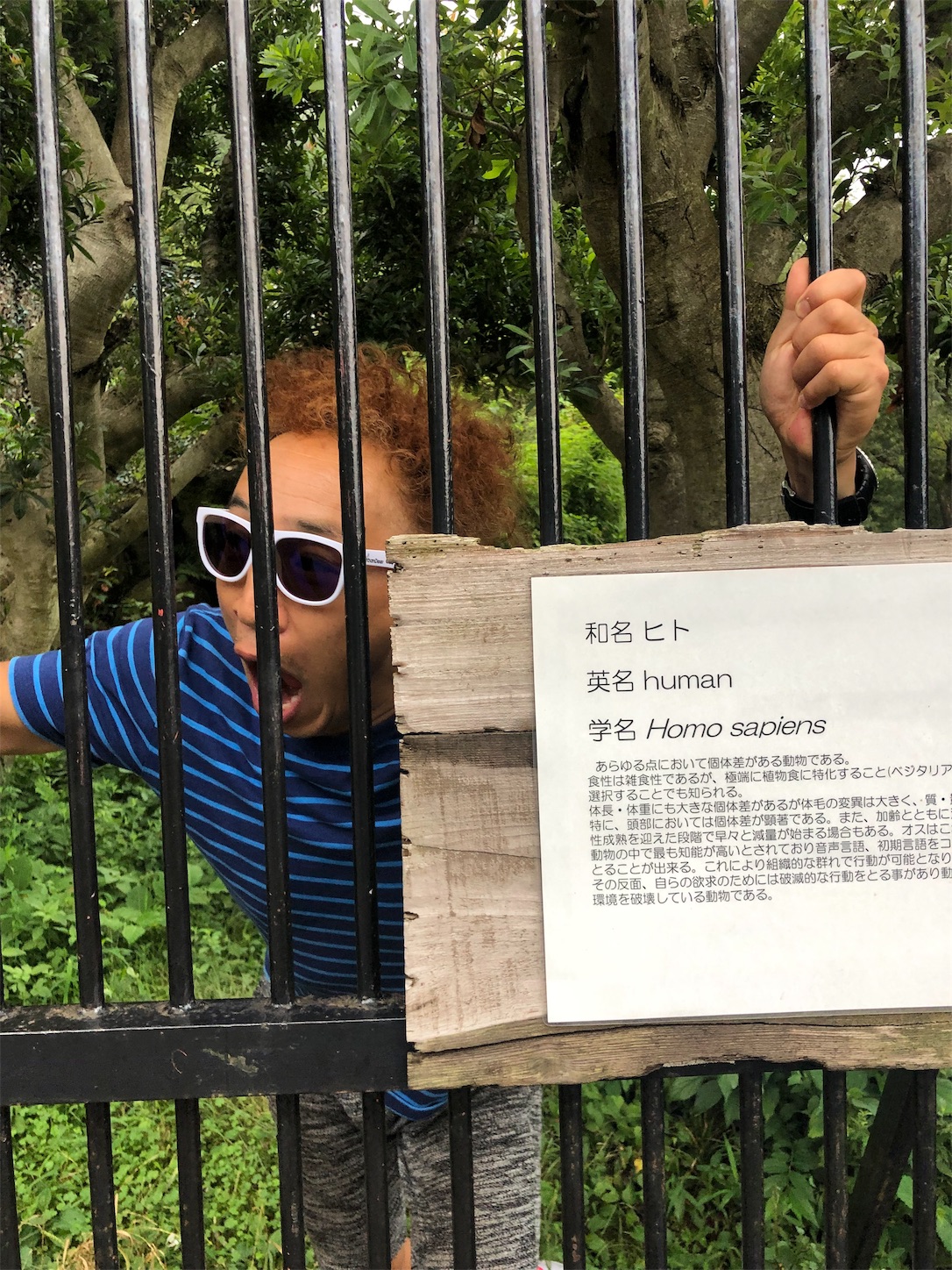 f:id:bucyoub51:20190815075049j:image