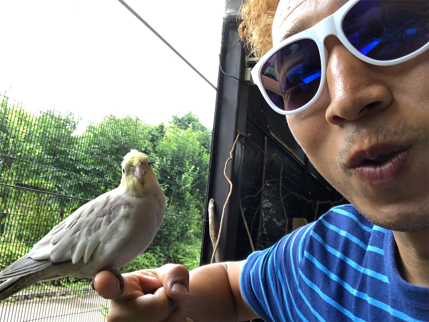 f:id:bucyoub51:20190815075052j:image