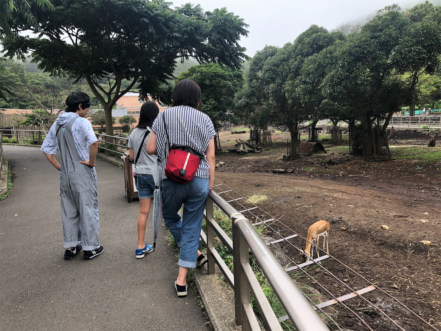 f:id:bucyoub51:20190815075105j:image