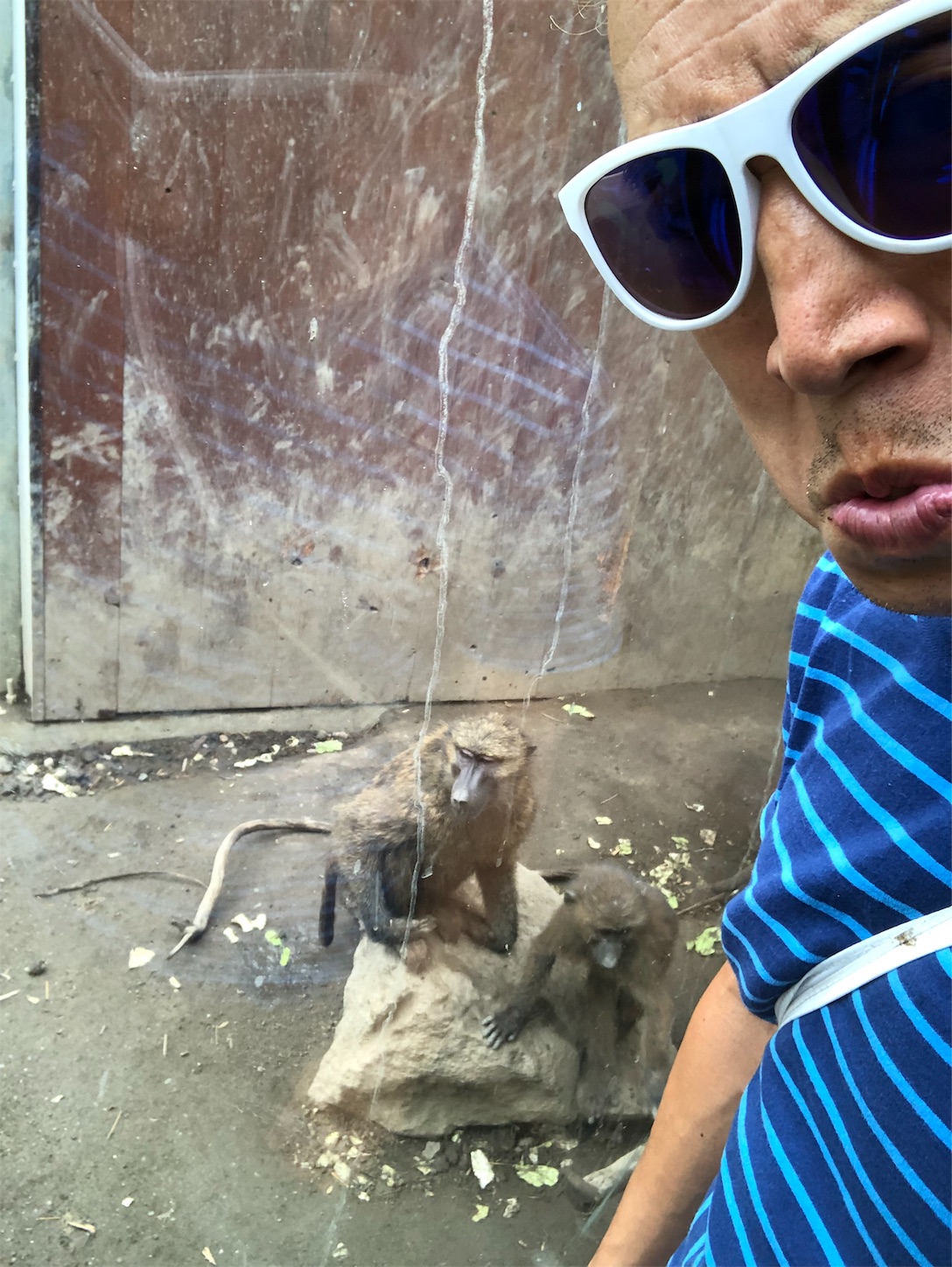 f:id:bucyoub51:20190815075113j:image