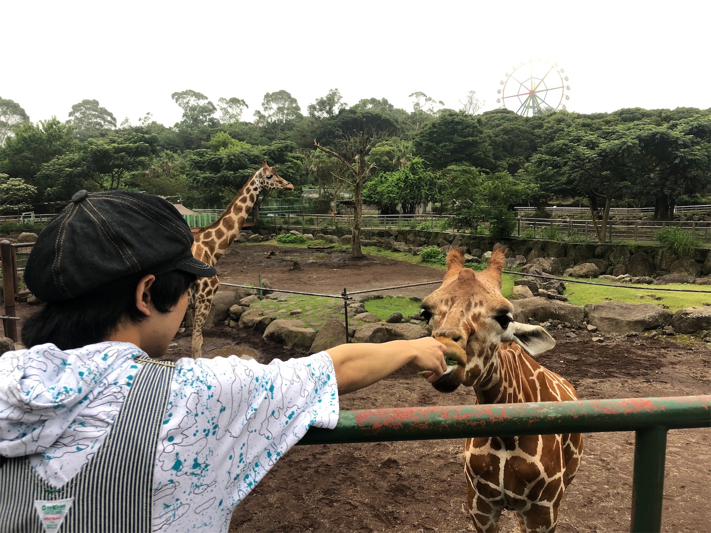 f:id:bucyoub51:20190815075123j:image