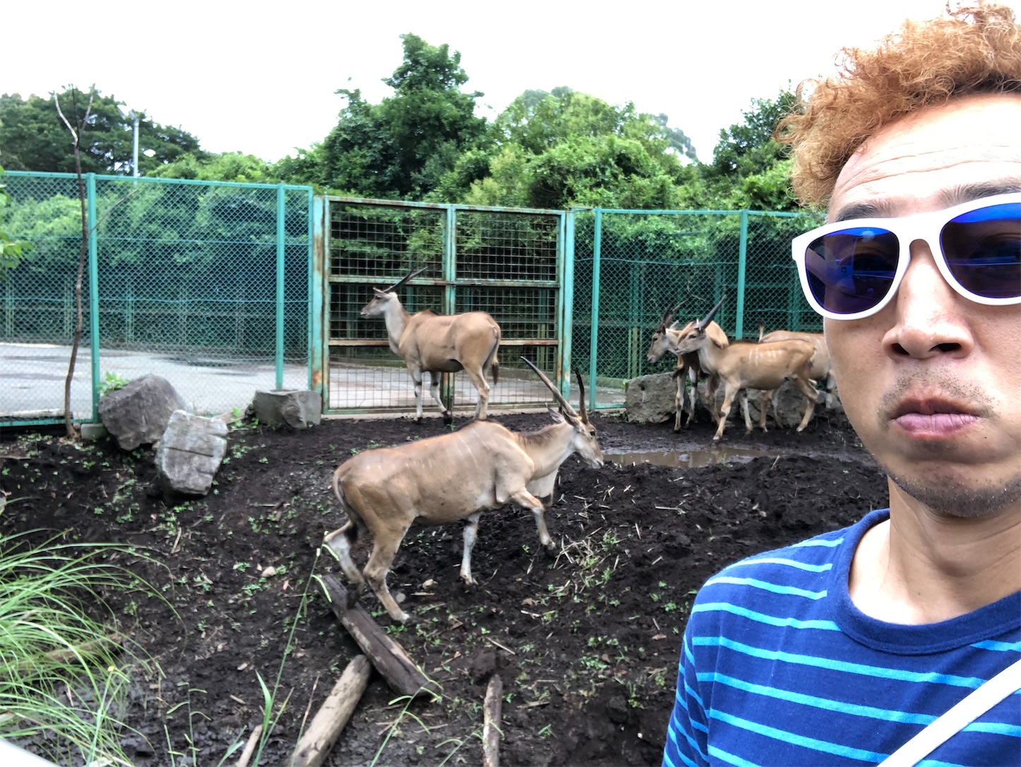 f:id:bucyoub51:20190815075127j:image