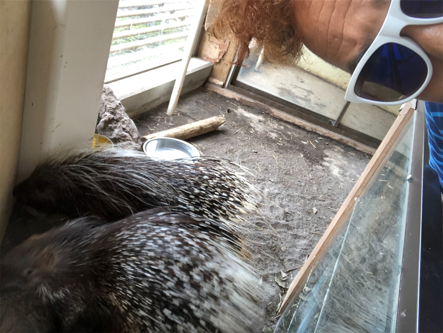 f:id:bucyoub51:20190815075139j:image