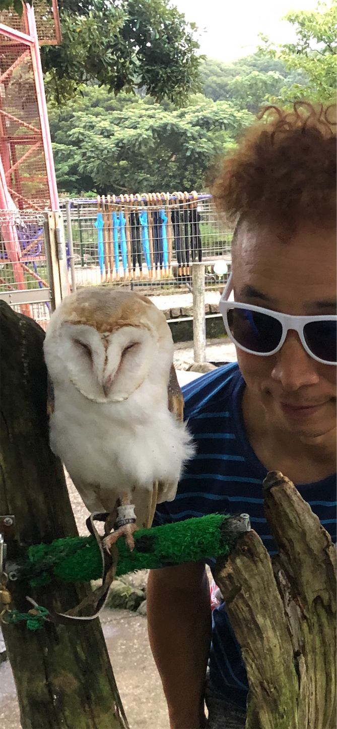 f:id:bucyoub51:20190815075144p:image