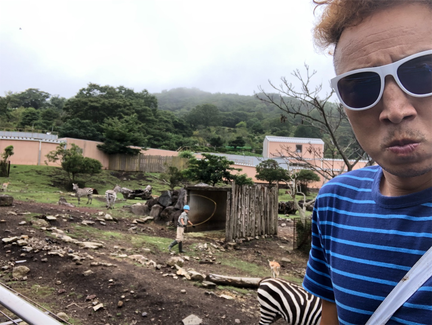 f:id:bucyoub51:20190815082035j:image