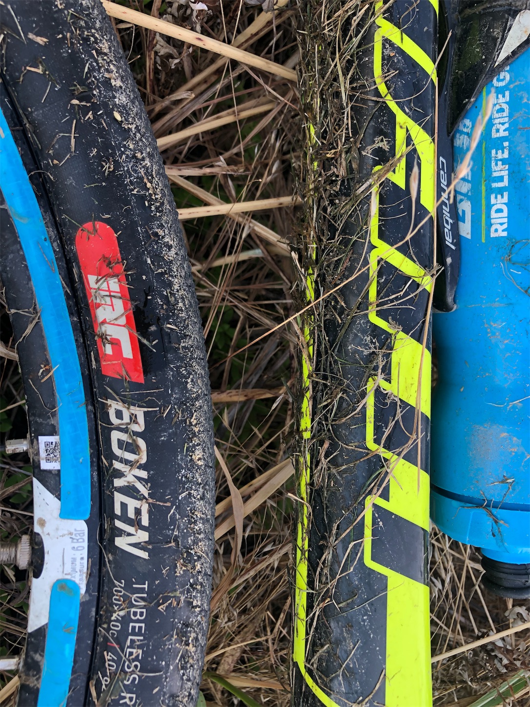 f:id:bucyoub51:20190822094503j:image