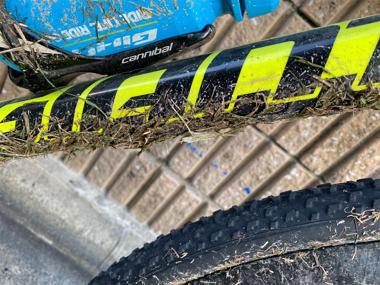 f:id:bucyoub51:20191107074402j:image