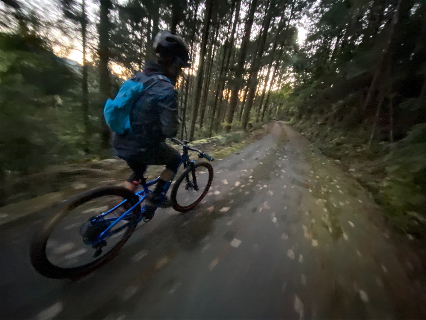 f:id:bucyoub51:20191129082951j:image