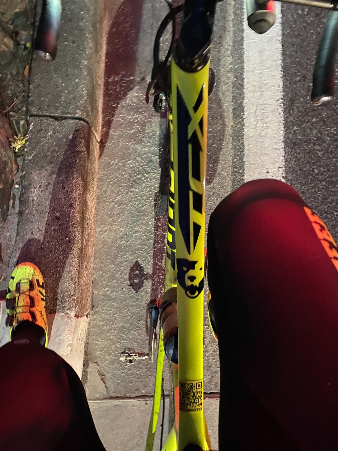 f:id:bucyoub51:20191212085526j:image