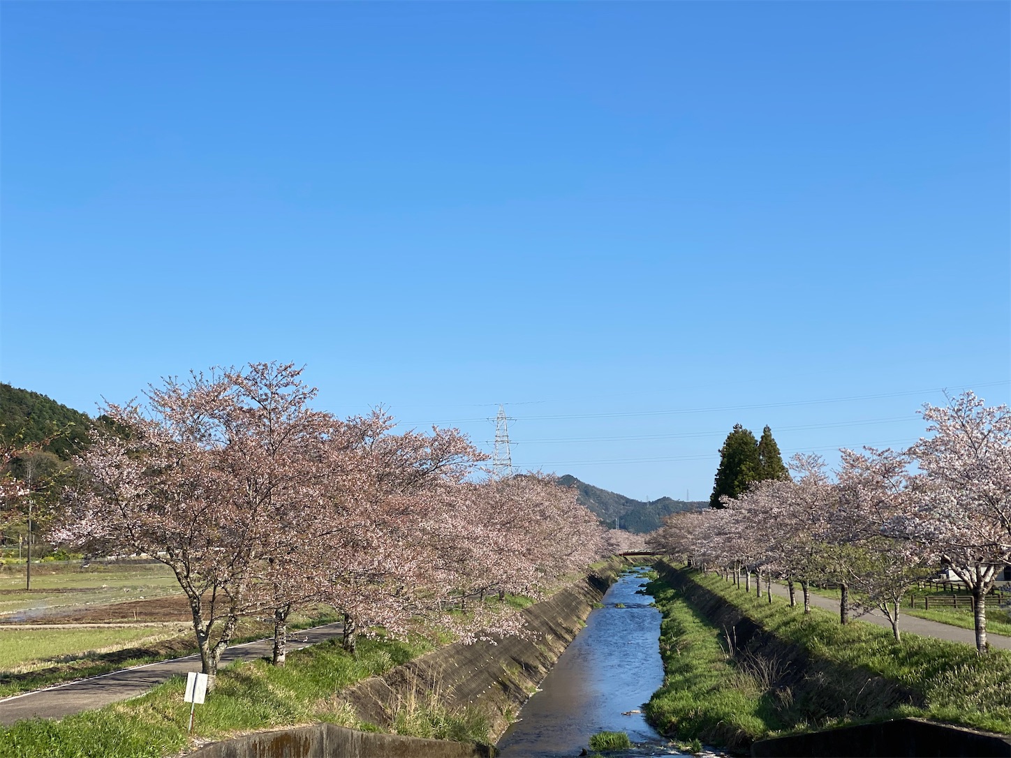 f:id:bucyoub51:20200410225339j:image