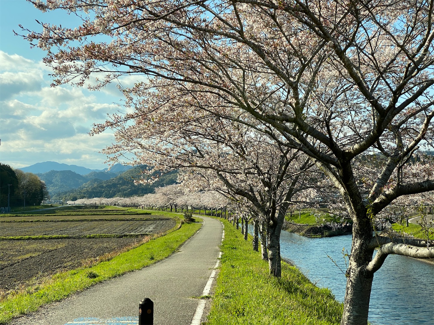 f:id:bucyoub51:20200410225350j:image