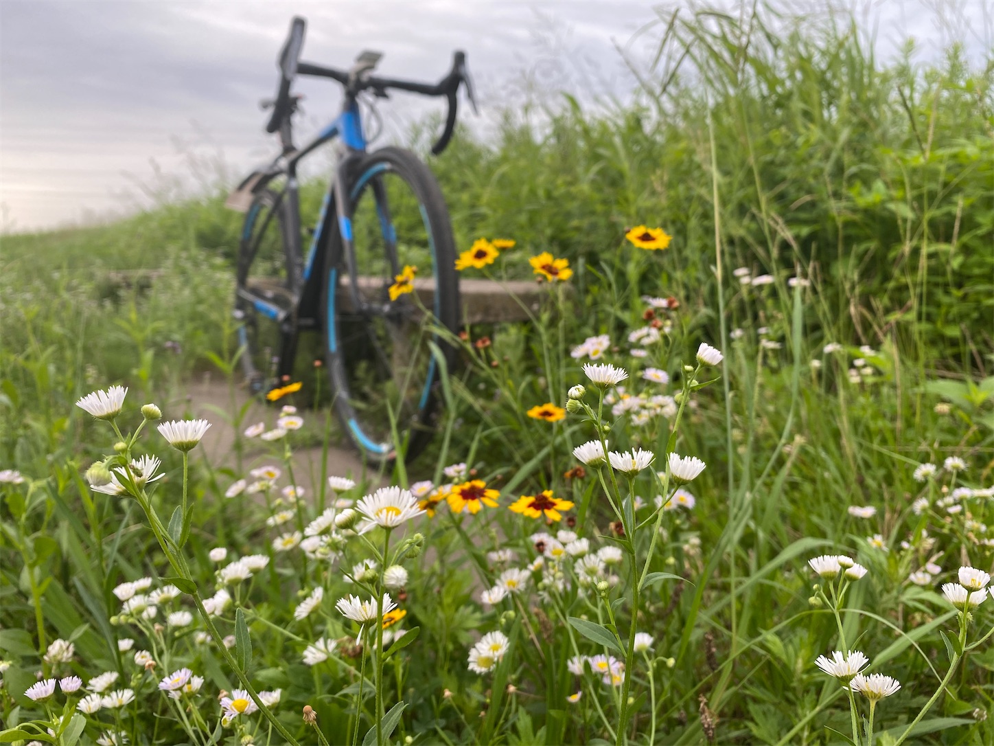 f:id:bucyoub51:20200713074830j:image f:id:bucyoub51:20200713074830j:image