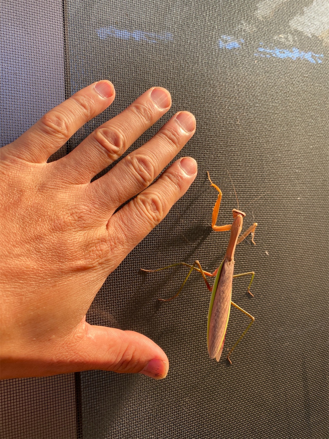 f:id:bucyoub51:20200824134656j:image f:id:bucyoub51:20200824134656j:image