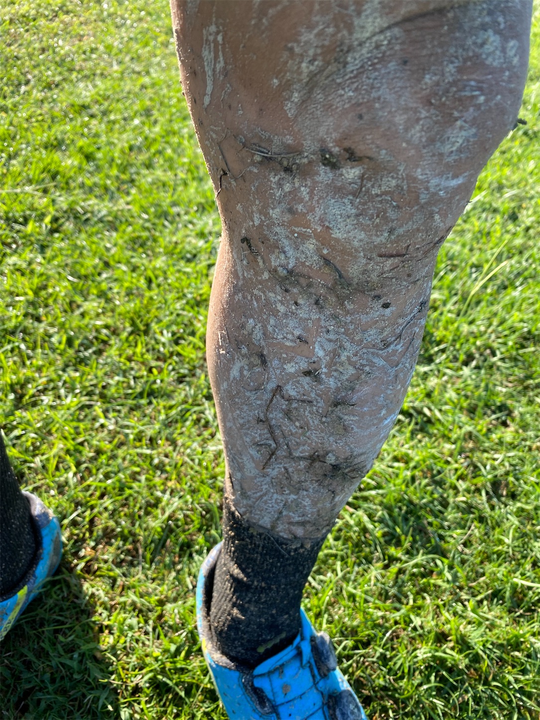 f:id:bucyoub51:20201011205544j:image