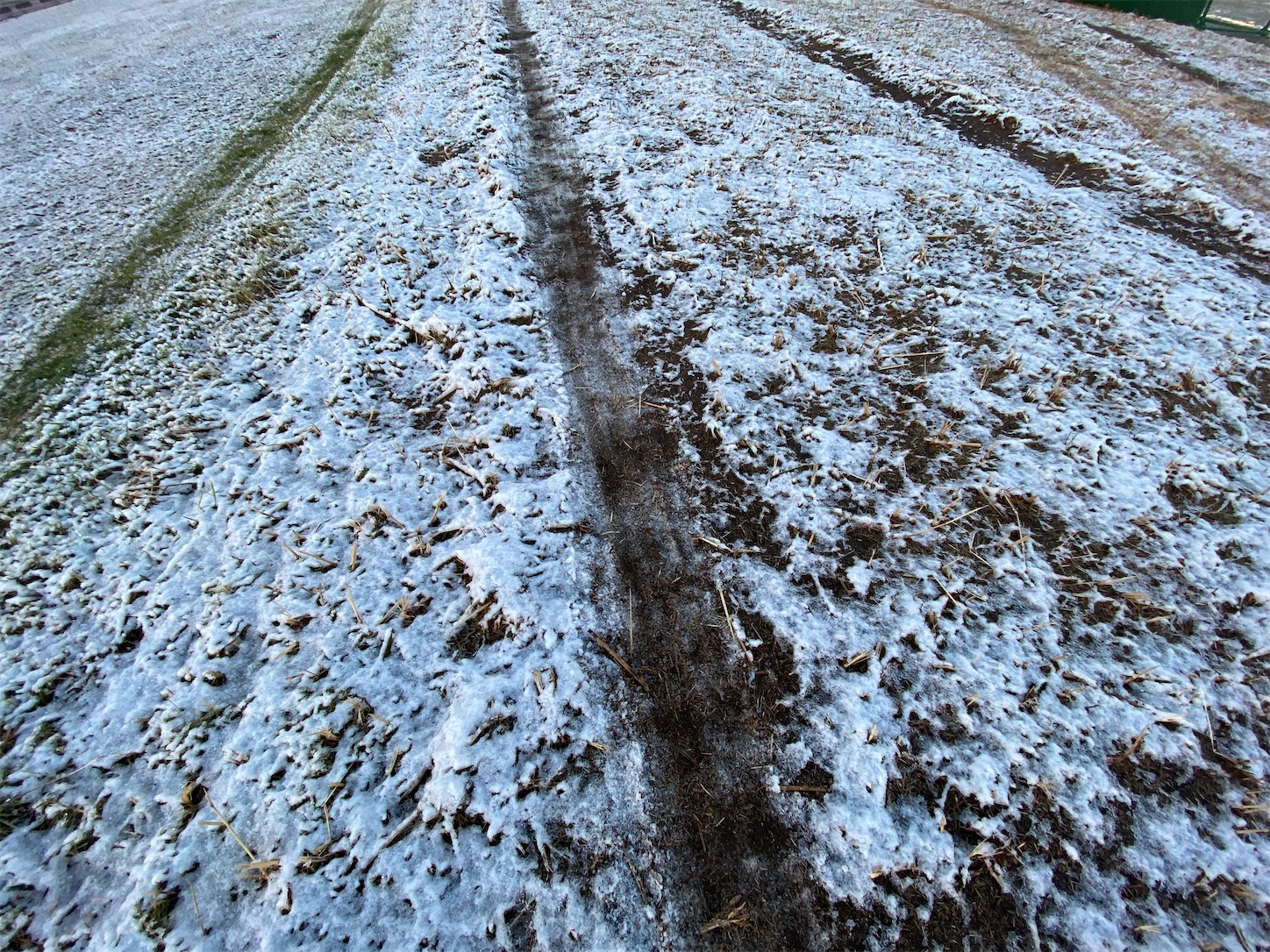 f:id:bucyoub51:20201217094611j:image